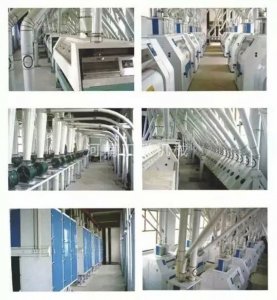 120噸樓房結(jié)構(gòu)面粉機(jī)